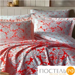 PB1652-M КПБ Istanbul Home PIKE (SUMMER TIME) евро CORAL