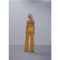 Top estilo bandeau plumas