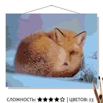 «НАБЛЮДАЕТ»