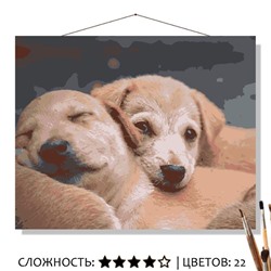 «ДНЕВНАЯ ДРЁМА»