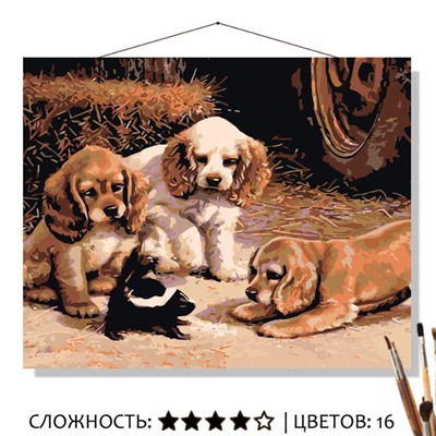 «НЕОЖИДАННАЯ ВСТРЕЧА»