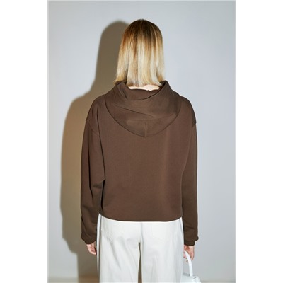 Sudadera con capucha Marrón