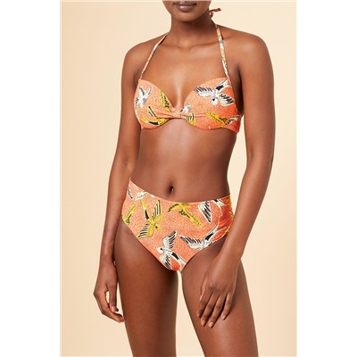Sujetador de biquini Africa Coral