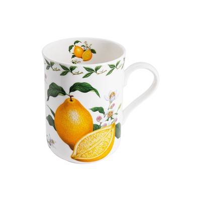 Кружка, 300 мл, фарфор F, белая, Лимон, Orchard Fruits, 53979