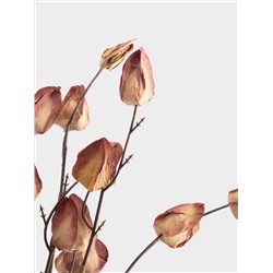 Ветка декоративная, 46 см, пенопласт/бумага, Бутоны, Light autumn