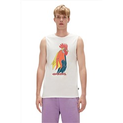 Bad Bear, 23.01.23.002-c04 Cockerel Erkek Atlet