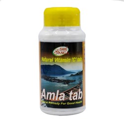 SHRI GANGA Amla Tab Амла для поддержания здоровья всего организма 200таб