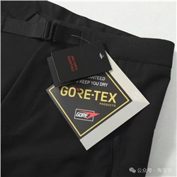 Мужские брюки  Arc’teri*x 🤍
