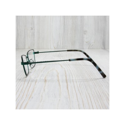 FE00748 - Оправа BALENCIAGA BB0225O  C.003Q green