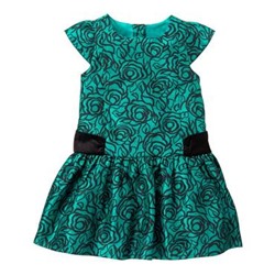 Duppioni Dress