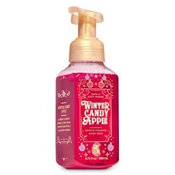 Winter Candy Apple


Gentle Foaming Hand Soap