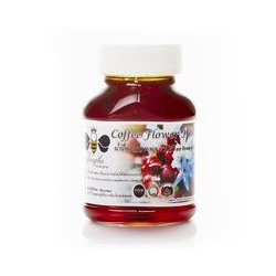 Мед с цветков кофейного дерева 100 гр /  Coffee Flower honey 100 gr
