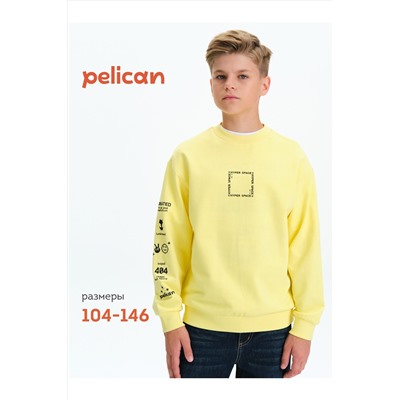 Свитшот PELICAN, 1188929