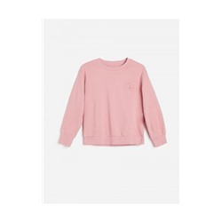 Sweatshirt mit Stickerei