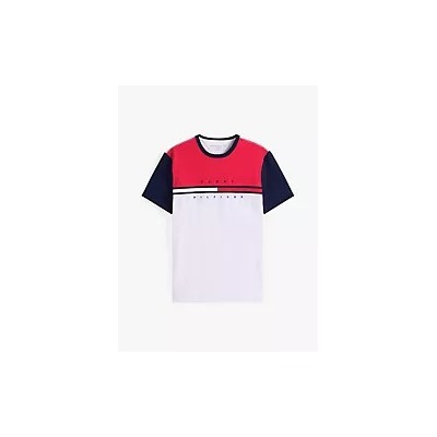 Colorblock Flag Stripe Logo T-Shirt