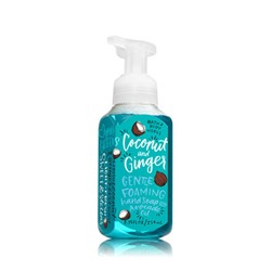 COCONUT & GINGER Gentle Foaming Hand Soap