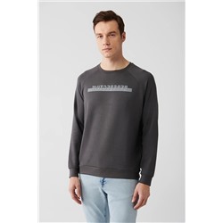 Avva Antrasit Soft Touch Bisiklet Yaka Baskılı Regular Fit Sweatshirt A31Y1266