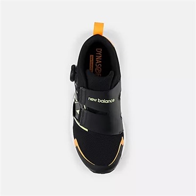 DynaSoft Reveal v4 BOA®