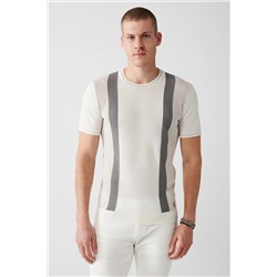 Avva Erkek Ekru Bisiklet Yaka Renk Bloklu Ribanalı Standart Fit Normal Kesim Triko T-shirt A31y5118 A31Y5118
