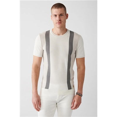 Avva Erkek Ekru Bisiklet Yaka Renk Bloklu Ribanalı Standart Fit Normal Kesim Triko T-shirt A31y5118 A31Y5118