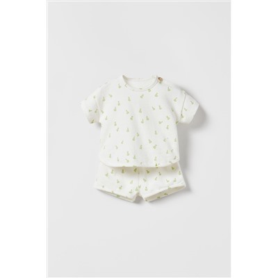 CONJUNTO PERAS