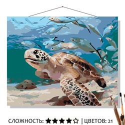 «МОРСКАЯ ЧЕРЕПАХА»