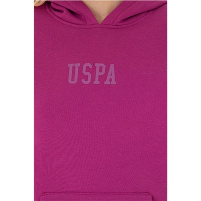 Kadın Menekşe Basic Sweatshirt