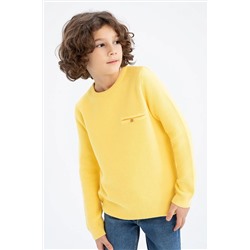 Defacto Erkek Çocuk Regular Fit Bisiklet Yaka Kazak TYC00641545091