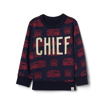 Statement crew pullover
