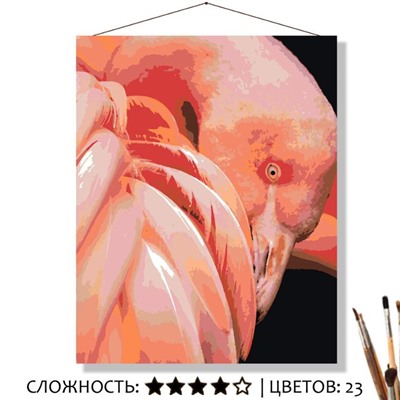 «РОЗОВЫЙ ФЛАМИНГО»