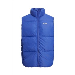 Chaleco Azul eléctrico