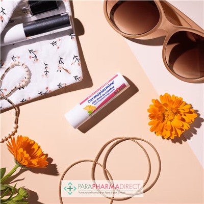 Boiron Dermoplasmine - Stick Lèvres au Calendula 2x4 gLot  × 2