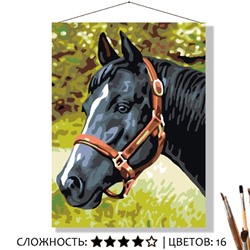 «ЧЁРНЫЙ КОНЬ»