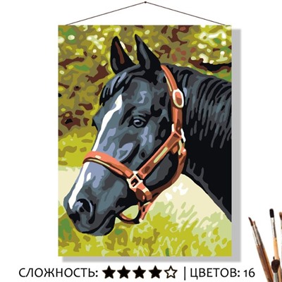 «ЧЁРНЫЙ КОНЬ»