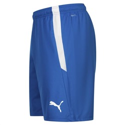 PUMA teamLIGA Herren Shorts 704924-35