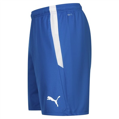 PUMA teamLIGA Herren Shorts 704924-35