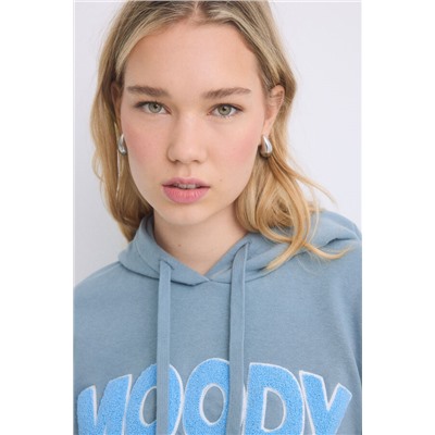Sudadera capucha felpa algodón gris