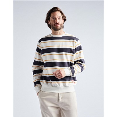 Striped Sweatshirt, Men, Multicolour
