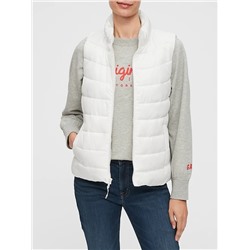 ColdControl Puffer Vest