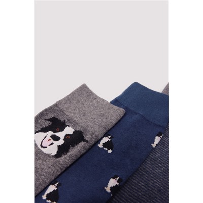 Pack 3 calcetines algodón perros