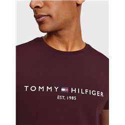 Embroidered Tommy Logo T-Shirt