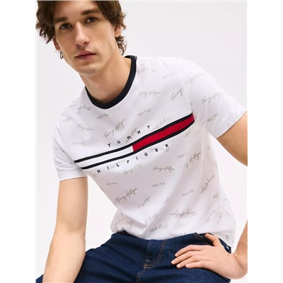 Signature Flag Stripe Logo T-Shirt