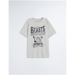 Print T-shirt, Men, Grey