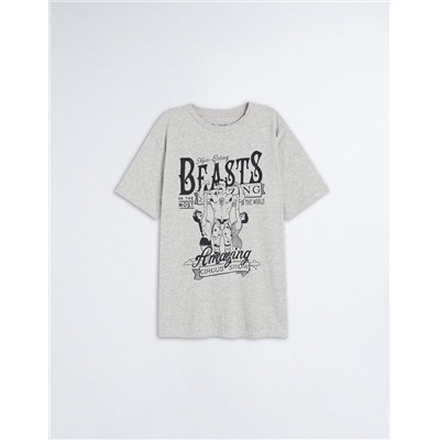 Print T-shirt, Men, Grey