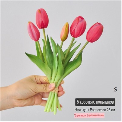 Маленький букет из тюльпанов ( 5 шт * 25 см)