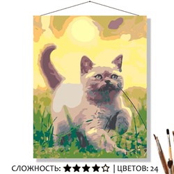 «В СОЛНЕЧНОМ СВЕТЕ»