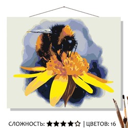 «ШМЕЛЬ»