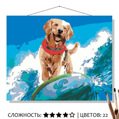 «РЕТРИВЕР НА СЁРФЕ»