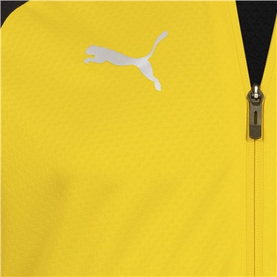 PUMA teamCUP Herren Trainingsjacke 657983-19