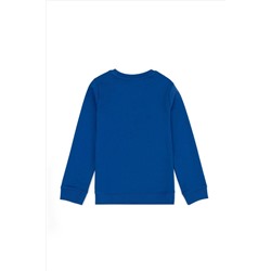Erkek Çocuk Saks Sweatshirt